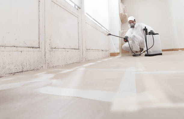24/7 Emergency Basement Mold Remediation experts in Irving, TX