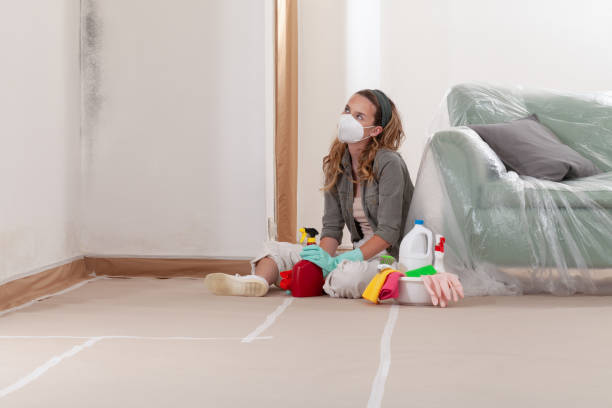 Reliable Basement Mold Remediation contractor in Irving, TX by 24 Hour Mold Removal